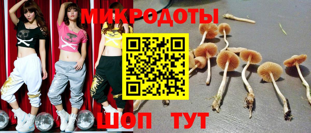 Елизово  Псилоцибиновые грибы MAGIC MUSHROOMS  Вход с VPN  цена   Псилоцибиновые грибы GOLDEN TEACHER 